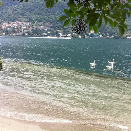 ヴィラ Rosa By Italian Colonno